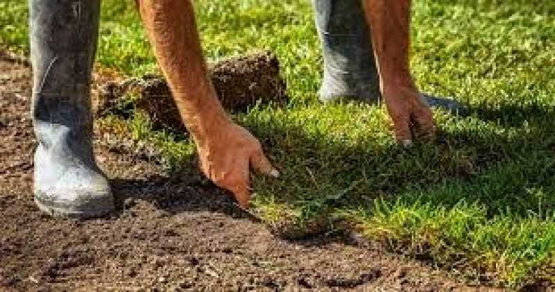 Construção e Manutenção de Jardins Preço Alto do Pari - Manutenção de Jardins e Relvados