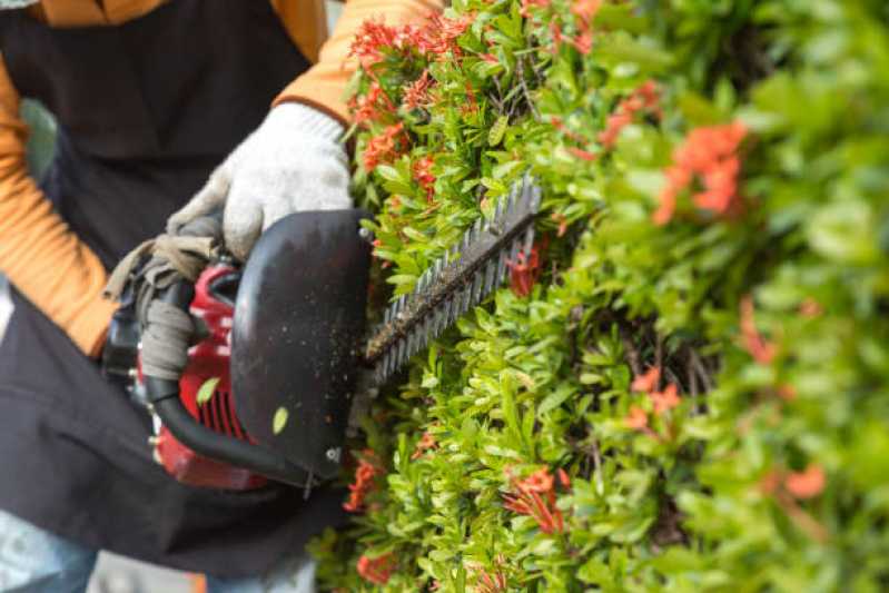 Contato de Empresa de Manutenção de Jardim em Condomínios Mauá - Empresa de Manutenção em Jardim