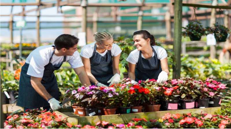 Contato de Empresa de Montagem Vaso de Flores Vila Chica Luíza - Empresa de Montagem de Vasos de Plantas