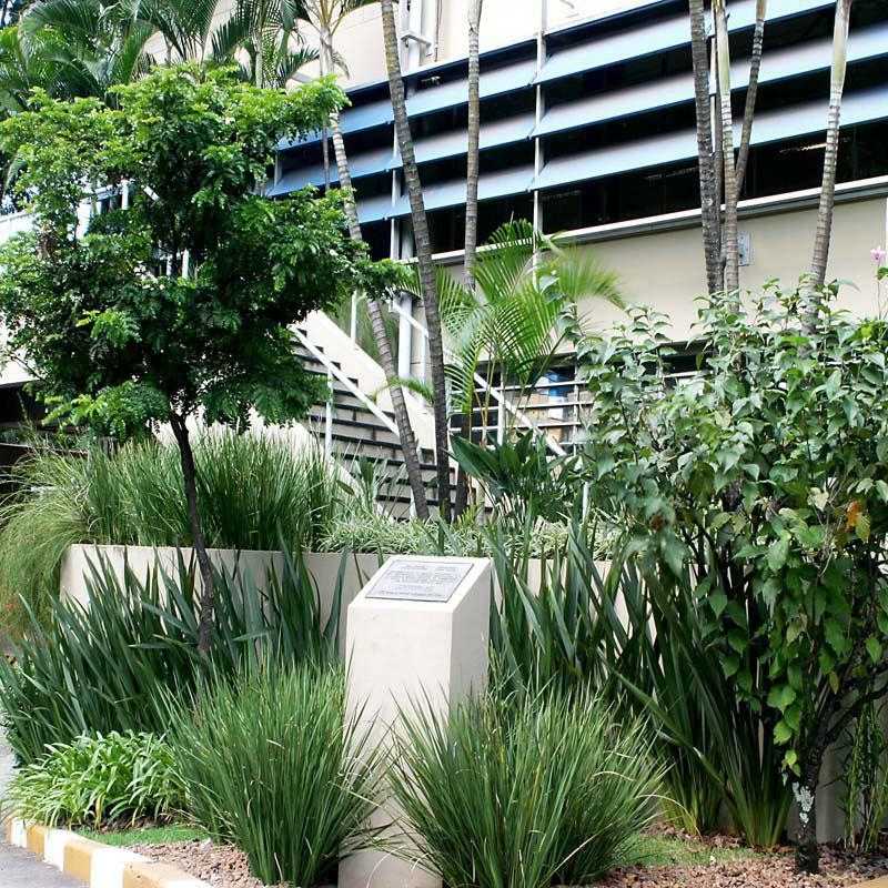 Contratar Firma de Jardinagem e Paisagismo Freguesia do Ó - Empresa Jardinagem