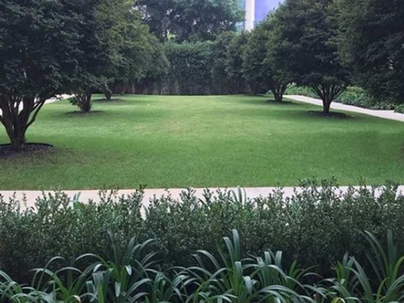 Contratar Firma de Jardinagem Região Central - Empresa de Jardinagem e Limpeza