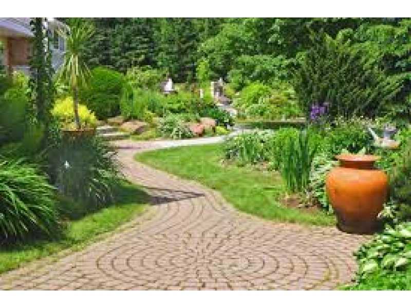 Contratar Firma Jardinagem Jardim Panorama - Firma Jardinagem