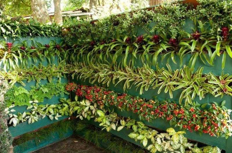 Empresa de Controle de Pragas na Jardinagem Butantã - Controle de Pragas em Hortas Orgânicas