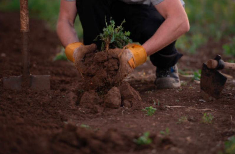 Empresa de Limpeza de Terreno com Máquina Rio Pequeno - Limpeza de Terreno Sp