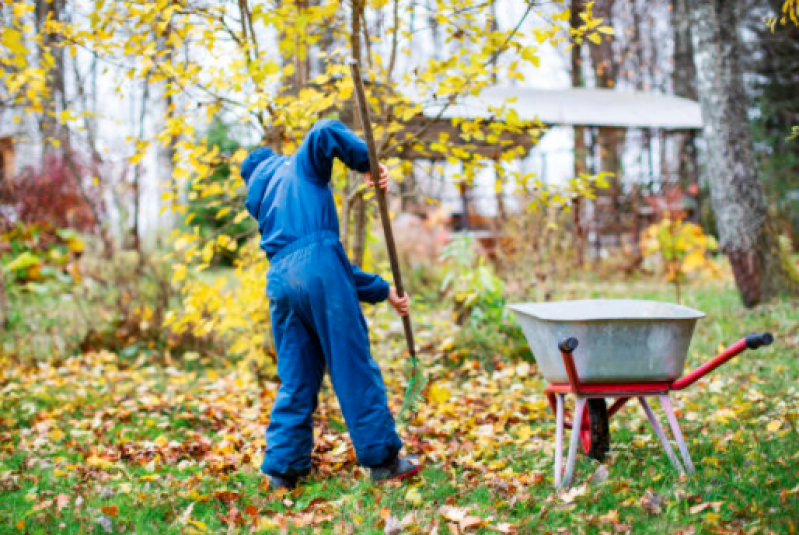 Empresa de Limpeza de Terreno Preço Jardim Guedala - Limpeza de Terreno com Retroescavadeira