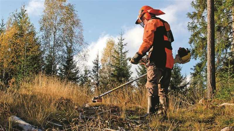 Empresa de Limpeza de Terreno Itaquaquecetuba - Limpeza do Terreno