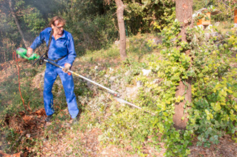 Empresa de Limpeza de Terrenos Jardim Marajoara - Limpeza de Terreno Preço