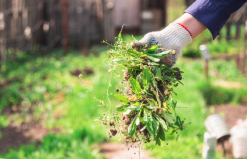 Empresa de Limpeza Terrenos Diadema - Limpeza de Terreno com Retroescavadeira