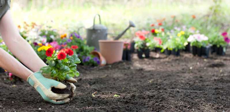 Empresa de Manutenção de Jardim em Condomínios Contato Mandaqui - Empresa de Manutenção de Jardim Vertical