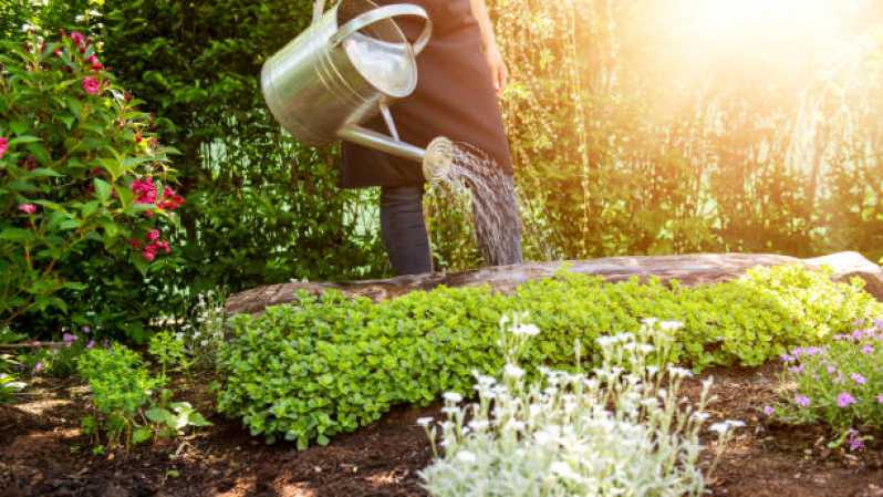 Empresa de Manutenção de Jardim em Condomínios Residenciais Santa Teresinha - Empresa de Manutenção em Jardim