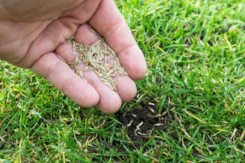 Empresa de Manutenção de Jardim em Condomínios Telefone Jardim Londrina - Empresa de Manutenção em Jardim