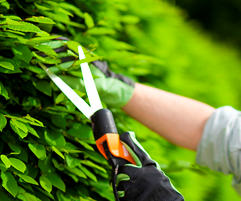 Empresa de Manutenção de Jardins Preço Poá - Empresa de Manutenção de Jardins