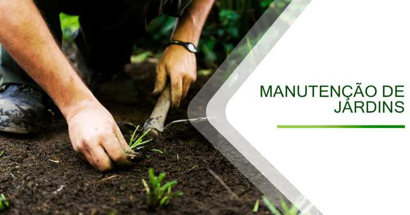 Empresa de Manutenção de Jardins Brás - Manutenção Jardins Verticais