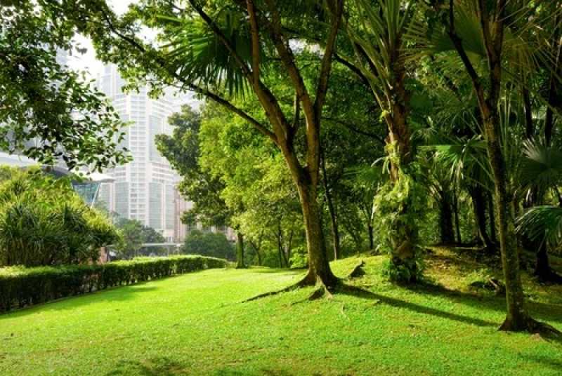 Empresa de Manutenção e Conservação de Jardins Água Rasa - Manutenção de Jardins Paisagismo