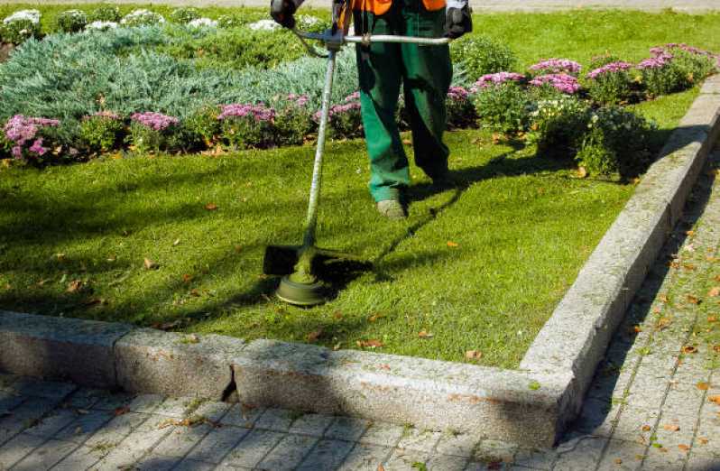 Empresa de Manutenção e Reforma de Jardins Telefone Vila Morumbi - Empresa de Manutenção de Jardim em Condomínios