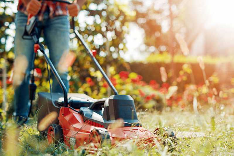 Empresa de Manutenção em Jardim Vertical Contato Água Rasa - Empresa de Manutenção e Reforma de Jardins