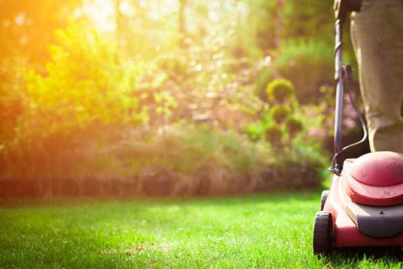 Empresa de Manutenção em Jardim Vertical Telefone Carandiru - Empresa de Manutenção de Jardim em Empresas