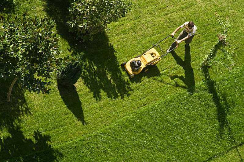 Empresa de Manutenção em Jardim Vertical Barro Branco - Empresa de Manutenção de Jardim em Condomínios Residenciais