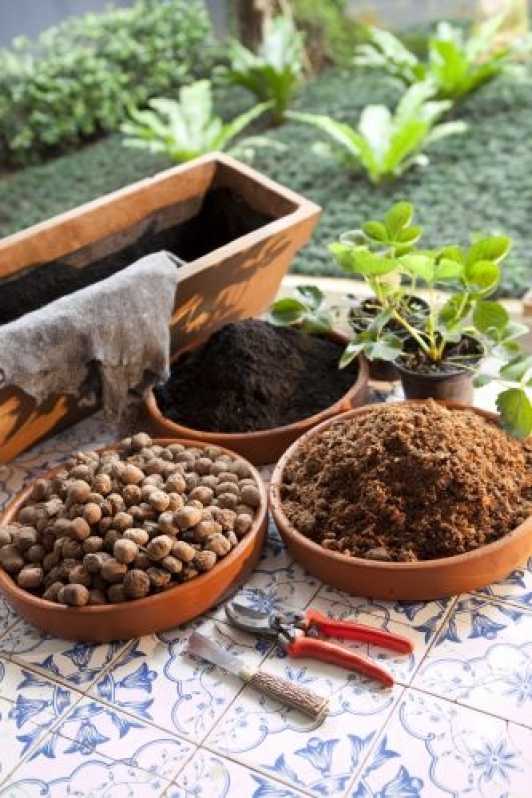 Empresa de Montagem de Vasos de Plantas Cachoeirinha - Empresa de Montagem Vaso de Flores