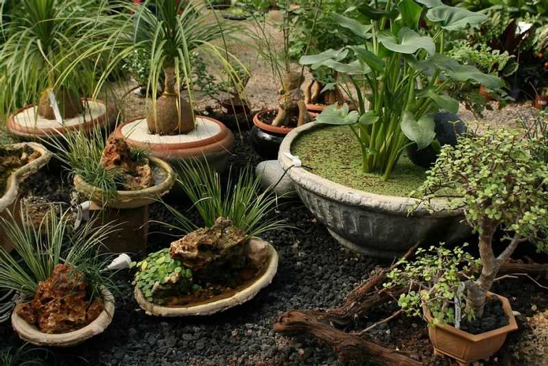 Empresa de Montagem Vasos Cotação Parque São Domingos - Empresa de Montagem de Vasos de Plantas