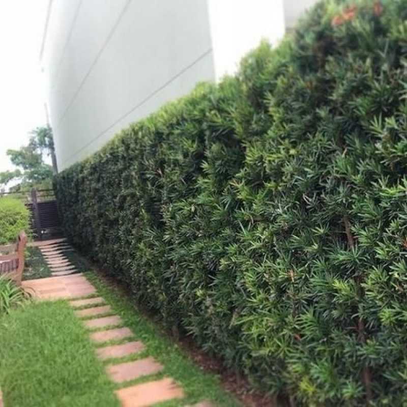 Empresa de Poda de Jardim Residencial Vila Nivi - Poda em Jardim