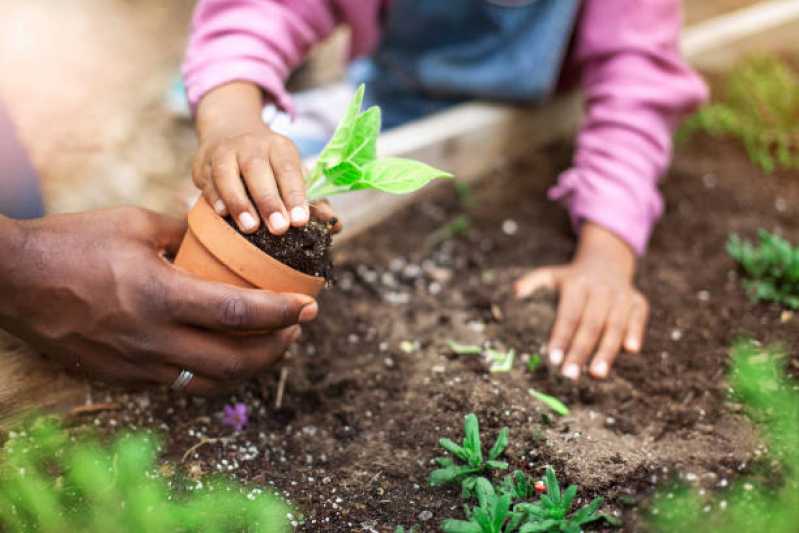 Empresa de Reforma e Manutenção de Jardins Telefone Guararema - Empresa de Manutenção de Jardins em Condomínios Residenciais