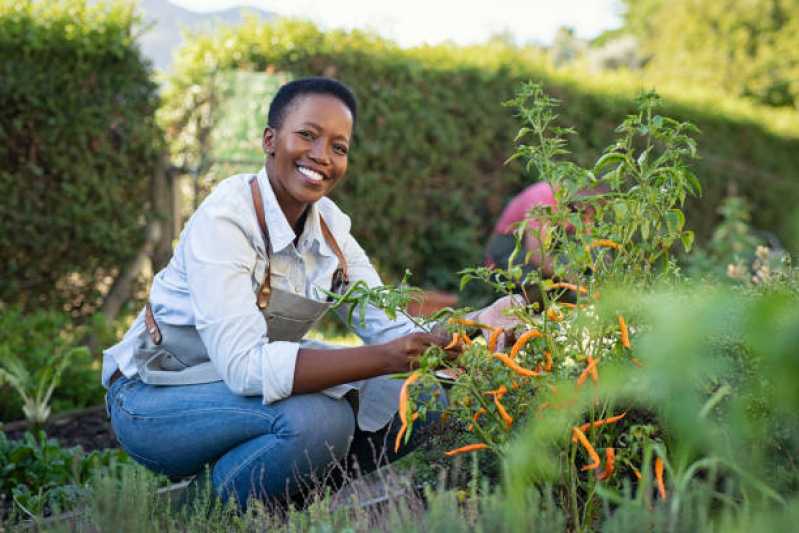 Empresa de Reforma e Manutenção de Jardins Salesópolis - Empresa de Manutenção e Reforma de Jardins