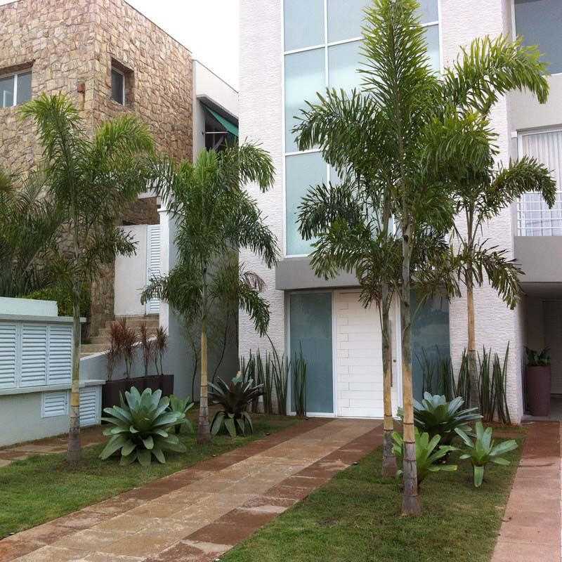 Empresa de Serviço de Paisagismo Barueri - Serviço de Paisagismo para Casas