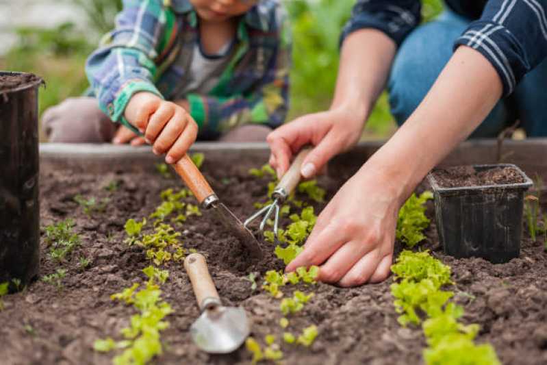 Empresa Especializada em Manutenção de Jardim Vertical Parque do Chaves - Manutenção de Jardins em Condomínios Residenciais