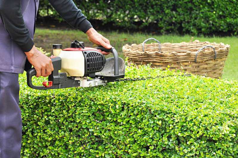 Empresa Especializada em Manutenção de Jardins em Condomínios Residenciais Rio Grande da Serra - Manutenção de Jardim Vertical