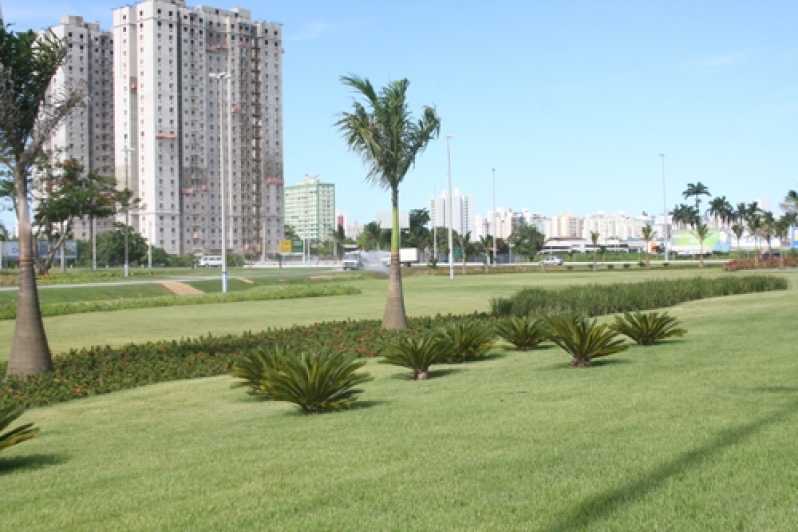 Empresa Que Faz Projeto Paisagismo Praça Parque Novo Mundo - Projeto Paisagismo Praça