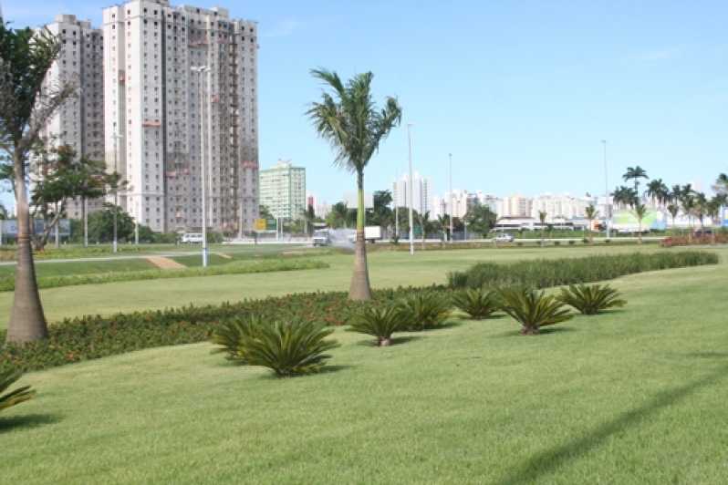 Empresa Que Faz Projeto Paisagismo Praça Santana - Projeto Paisagismo Residencial