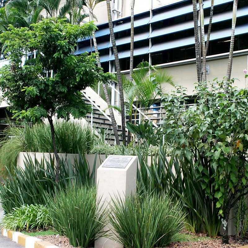 Firma de Jardinagem e Paisagismo Telefone Jardim Paulista - Empresa de Jardinagem