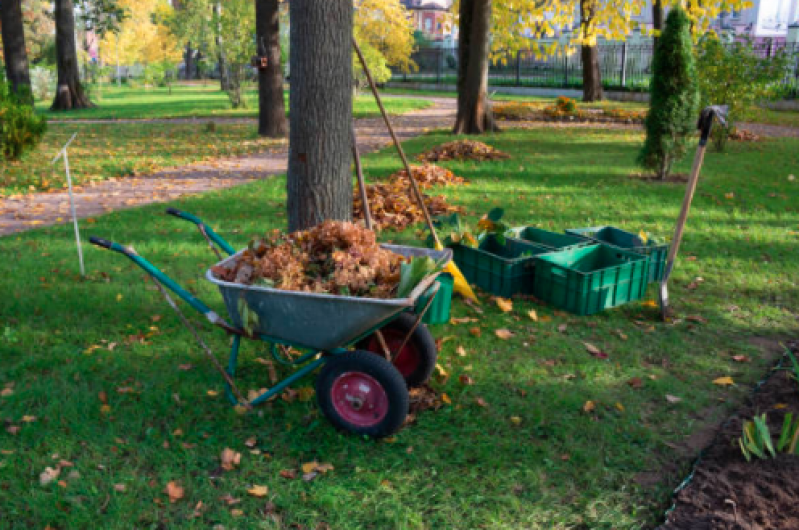 Limpeza de Terreno ABC Preço Jardim Panorama - Limpeza Terrenos