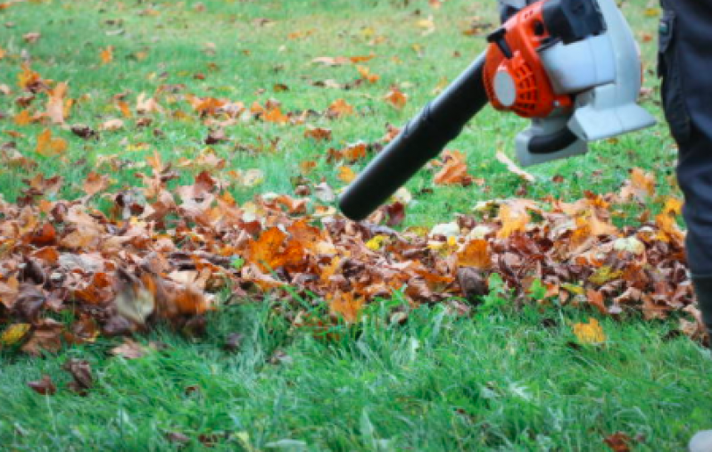 Limpeza de Terreno ABC Sp Pompéia - Limpeza de Terreno com Máquina