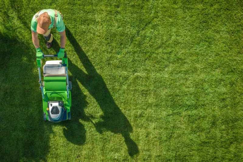 Limpeza de Terreno com Retroescavadeira Campo Belo - Limpeza de Terrenos