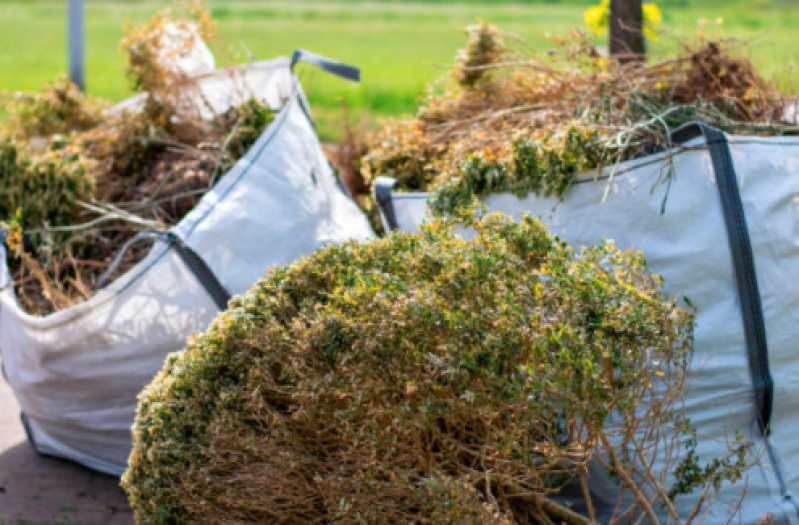 Limpeza de Terreno com Roçadeira Preço Santa Isabel - Limpeza de Terreno com Retroescavadeira