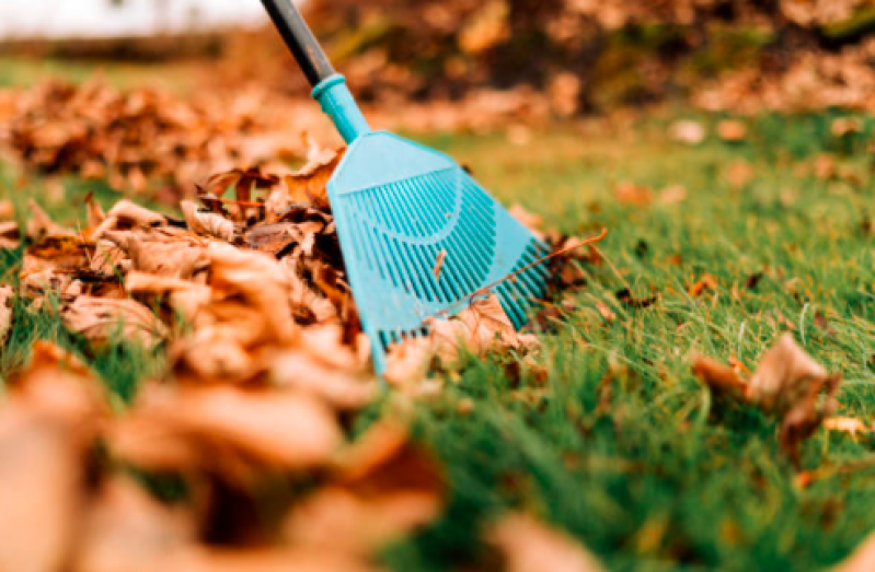 Limpeza de Terreno com Roçadeira Sp Perdizes - Limpeza de Terreno