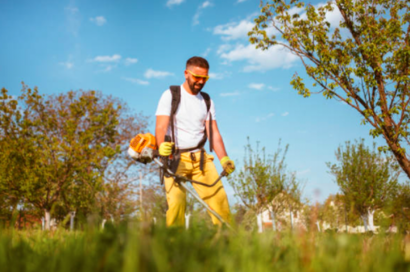 Limpeza de Terreno Preço Sp Cambuci - Limpeza de Terreno Preço