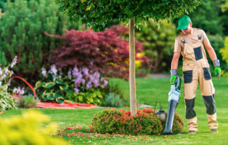 Limpeza de Terrenos Perus - Limpeza de Terreno com Retroescavadeira