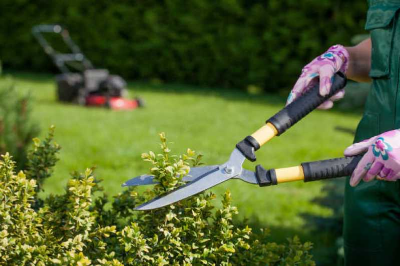 Manutenção de Jardim em Condomínios Residenciais Valores Juquitiba - Manutenção de Jardins para Empresas