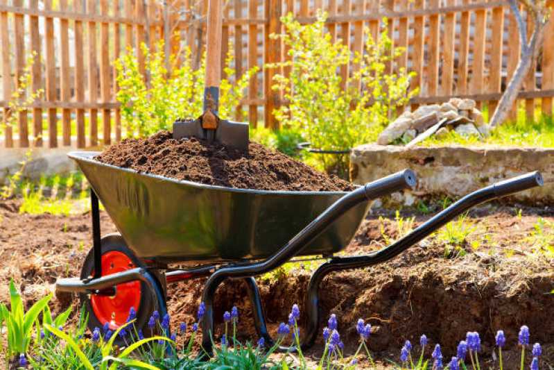 Manutenção de Jardim em Condomínios Residenciais Diadema - Manutenção de Jardim