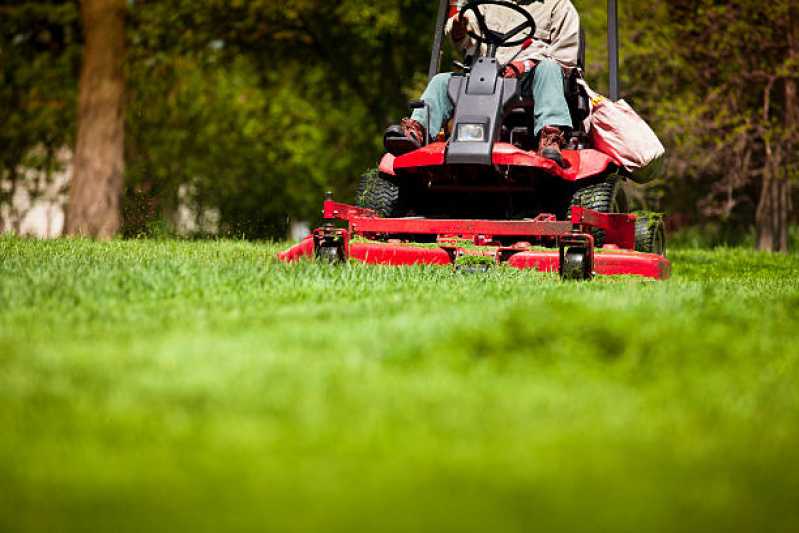 Manutenção de Jardim em Empresas Valores Parque Novo Mundo - Manutenção de Jardim