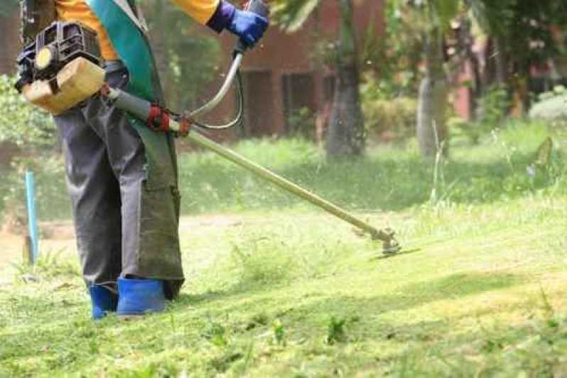 Manutenção de Jardins e Relvados Moema - Construção e Manutenção para Jardins