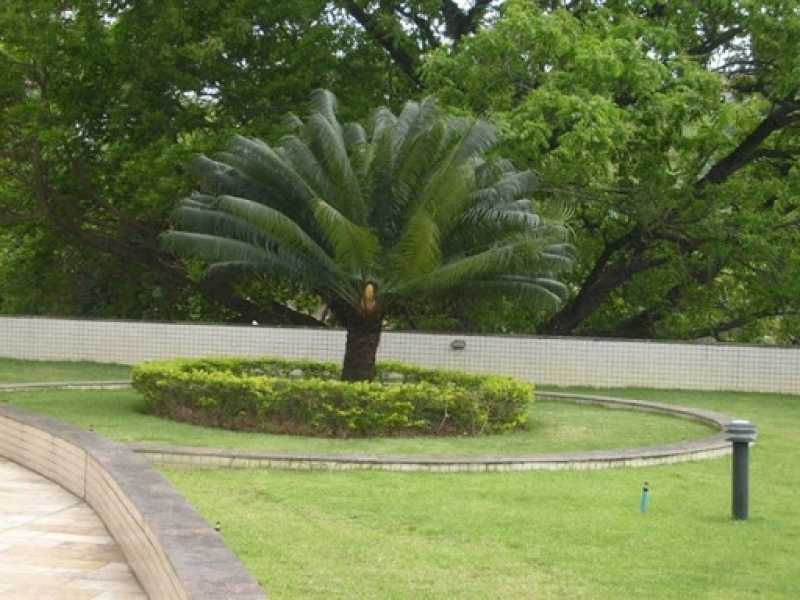 Manutenção de Jardins Paisagismo Preço Parque São Domingos - Manutenção de Jardins em Condomínios