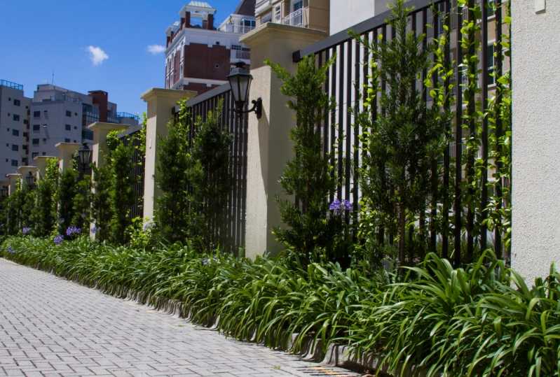 Manutenção de Jardins Paisagismo São Lourenço da Serra - Manutenção de Jardins em Condomínios