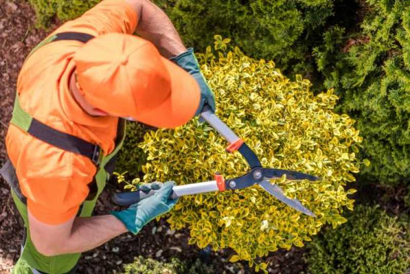 Manutenção de Jardins para Empresas Serra da Cantareira - Manutenção de Jardim em Empresas