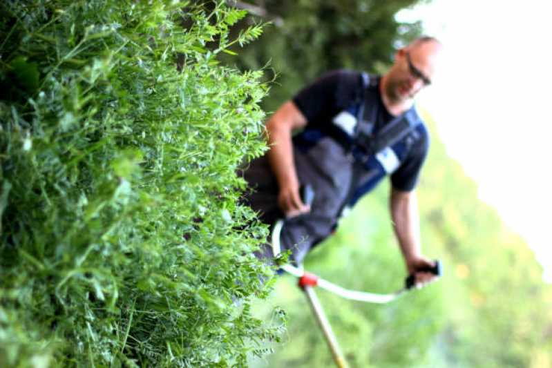 Manutenção de Paisagismo em Condomínios Residenciais Preço São Mateus - Manutenção de Paisagismo de Jardim