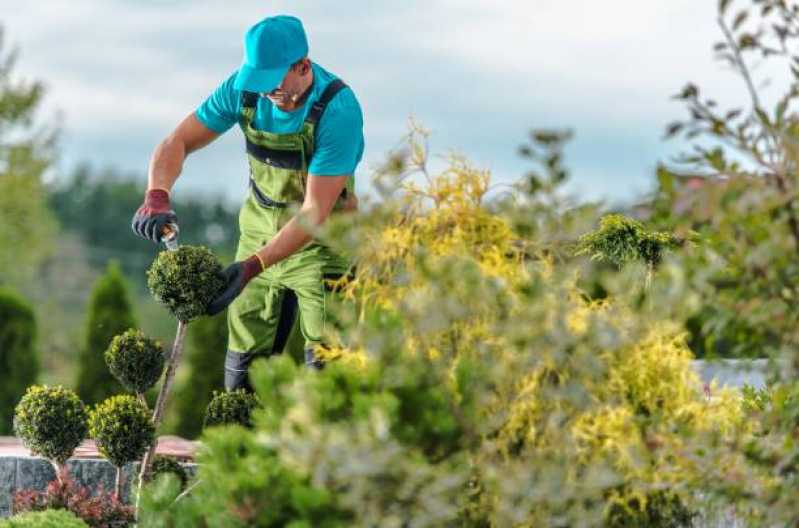 Manutenção de Paisagismo em Prédios Residenciais Preço Santa Teresinha - Manutenção de Paisagismo e Jardinagem