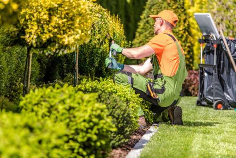 Manutenção de Paisagismo em Prédios Residenciais Jardim Londrina - Manutenção de Paisagismo e Jardinagem